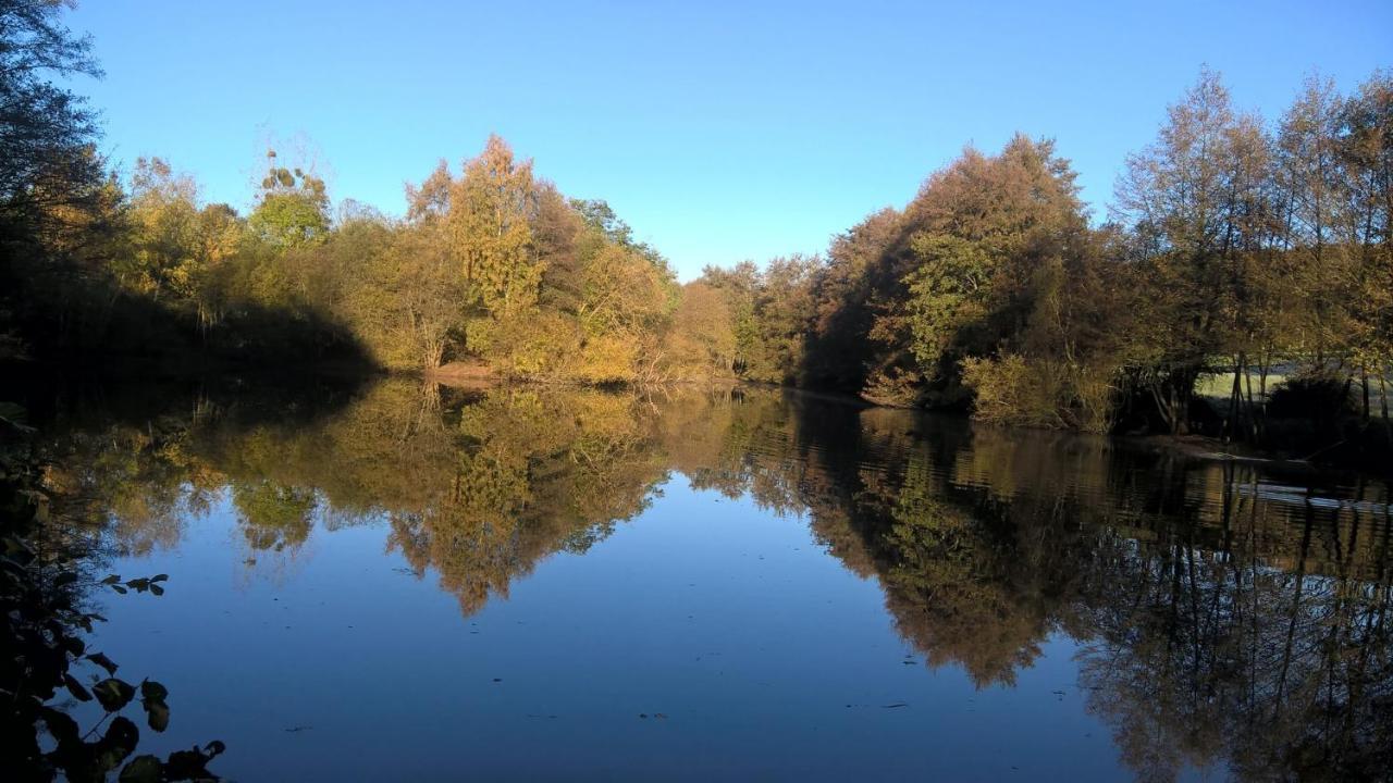 Gite Des Etangs De Beaulieu Le Plessis-Dorin Eksteriør billede